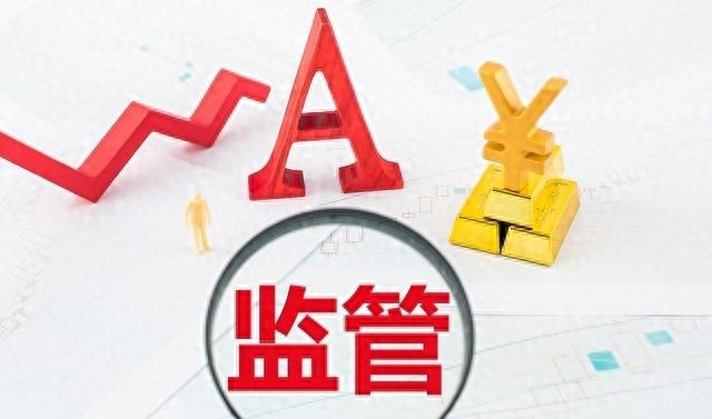 击穿监管迷雾！一查秒撤，揭秘新股带病闯关_https://www.023hushi.com_新股_第2张