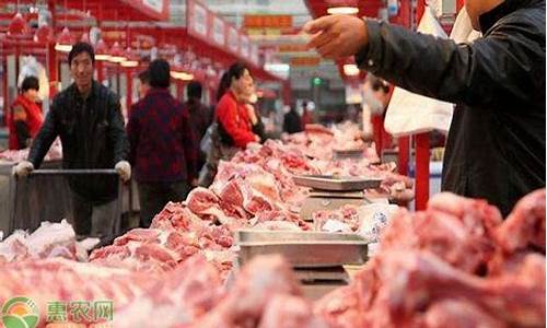 猪肉今日期货最新行情(猪肉今日期货最新行情分析)_https://www.023hushi.com_新股_第1张