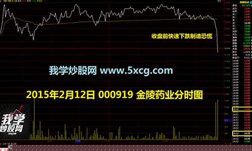 大单拉升后立马砸(盘中大单拉升回落)_https://www.023hushi.com_创业板申报企业信息_第1张