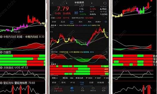 麟龙软件485元靠谱吗(麟龙软件是哪家公司的)_https://www.023hushi.com_核准制上证A股_第1张