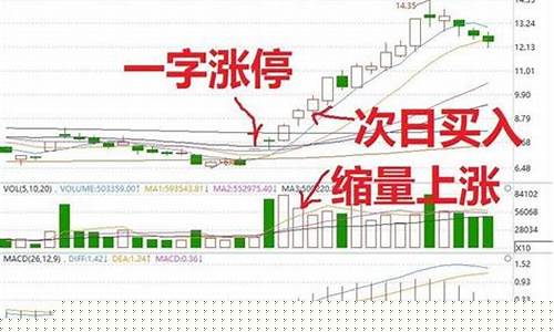 涨停板第二天买入技巧(涨停板第二天买入技巧李易天)_https://www.023hushi.com_深证A股_第1张