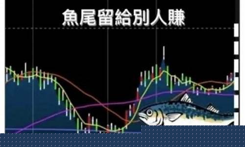 期货鱼头行情进场点(鱼头指标)_https://www.023hushi.com_新股分析_第1张