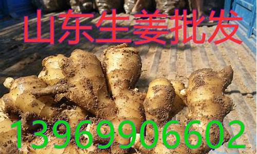 期货大姜价格行情(原油期货价格行情)_https://www.023hushi.com_科创板_第1张