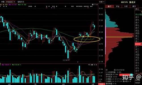 突破压力位的股票能买吗(突破压力位选股公式)_https://www.023hushi.com_新股申报信息_第1张