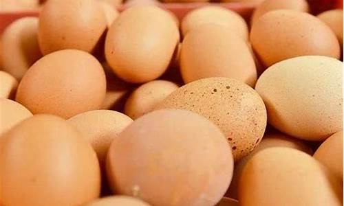 枣庄市鸡蛋期货价格行情(今日枣庄价格多少钱一斤)_https://www.023hushi.com_科创板_第1张
