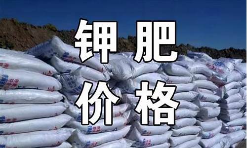 氮肥期货最新行情(橡胶期货最新行情)_https://www.023hushi.com_创业板_第1张