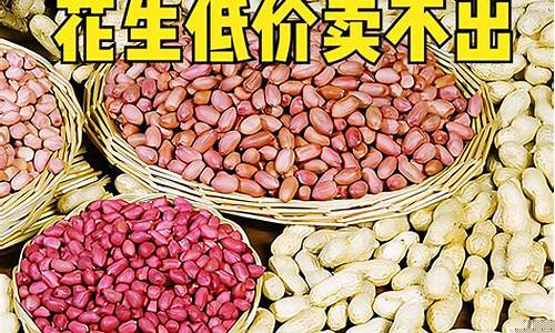 期货花生米价格行情(南阳最新花生米价格行情)_https://www.023hushi.com_新股_第1张