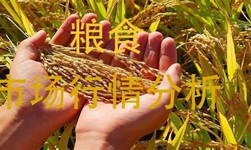 期货粮食行情分析(粮食期货市场)_https://www.023hushi.com_科创板_第1张
