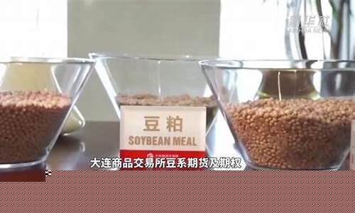 豆期货(豆期货外盘实时行情)_https://www.023hushi.com_核准制科创板_第1张