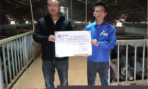 怎么知道生猪期货价格行情(怎么知道生猪期货价格行情表)_https://www.023hushi.com_科创板_第1张