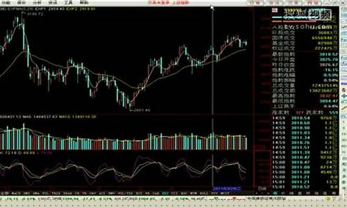 新手炒股入门教程视频(新手炒股入门步骤视频)_https://www.023hushi.com_科创板申报企业信息_第1张