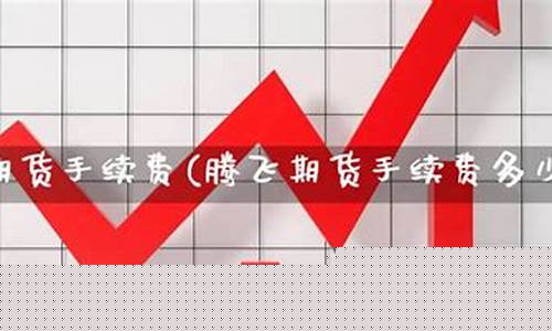 期货腾飞(腾飞国际期货行情软件)_https://www.023hushi.com_科创板申报企业信息_第1张