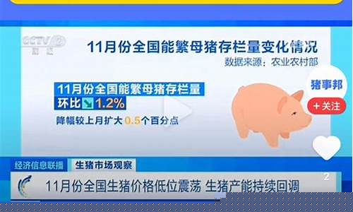 生猪 股吧(生猪板块股票行情)_https://www.023hushi.com_新股申报信息_第1张