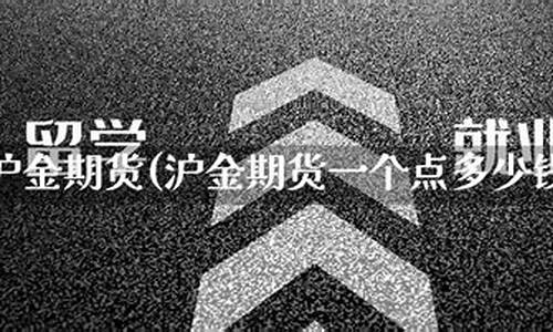 期货沪金一个点多少钱(期货沪金一个点赚多少钱)_https://www.023hushi.com_财经新闻_第1张