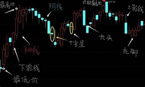 怎么学会炒股票新手入门(1万炒股一年最多挣多少)_https://www.023hushi.com_科创板_第1张