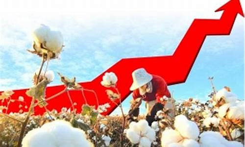 棉花期货12月3日行情(棉花期货的行情)_https://www.023hushi.com_科创板_第1张