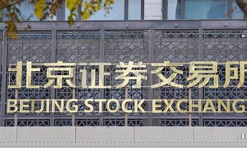 北京交易所股票怎么买卖流程(北京交易所 交易方式)_https://www.023hushi.com_注册制创业板_第1张