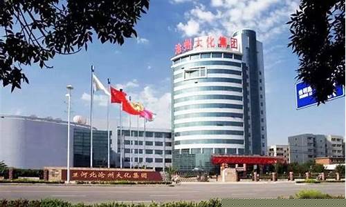 沧州大化tdi成本价(2021沧州大化tdi价格)_https://www.023hushi.com_注册制科创板_第1张