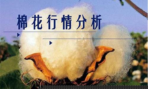 棉花1801期货(期货棉花今日行情)_https://www.023hushi.com_注册制上证A股_第1张