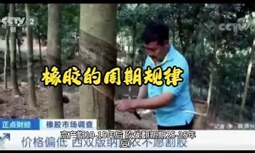 炒期货橡胶(炒期货是什么意思)_https://www.023hushi.com_新股日历_第1张