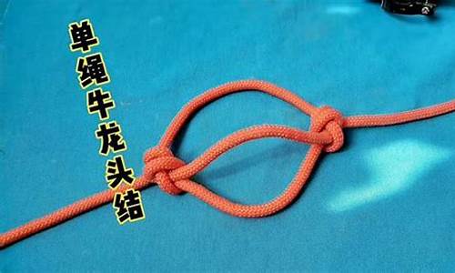 牛龙头视频教程(牛龙头的打法)_https://www.023hushi.com_核准制深证A股_第1张