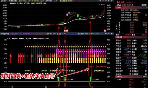 牛龙头咋打的(牛龙头打法)_https://www.023hushi.com_深证A股_第1张