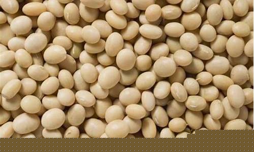 期货豆一豆二(期货豆二是什么品种)_https://www.023hushi.com_上证申报企业信息_第1张