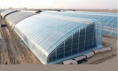 暖棚一亩地建造多少钱(暖棚多少钱一个平方)_https://www.023hushi.com_新股申购_第1张