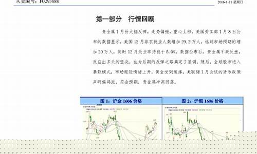 期货投资报告(期货投资报告总结)_https://www.023hushi.com_新股申报信息_第1张