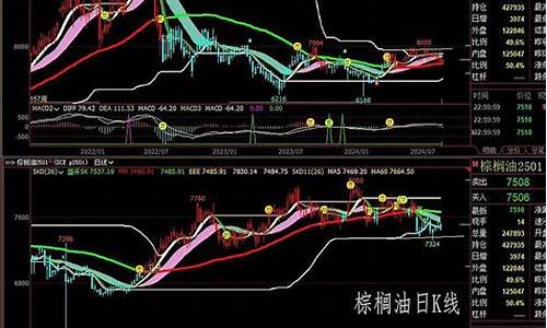期货棕榈(期货棕榈油走势图)_https://www.023hushi.com_新股申报信息_第1张