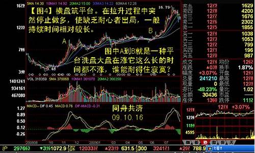 个股网个股频道(个股网个股频道个股行情)_https://www.023hushi.com_新股申购_第1张
