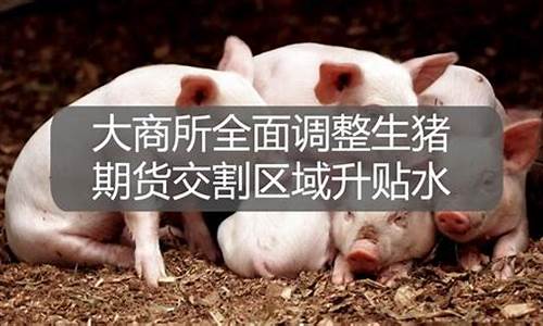 大商所生猪期货仿真交易(大商所生猪期货仿真交易app)_https://www.023hushi.com_科创板_第1张