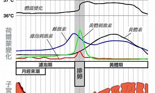 早周期和后周期(小周期和大周期的关系)_https://www.023hushi.com_核准制深证A股_第1张