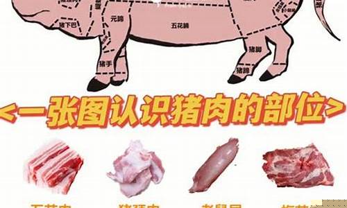 猪肉最好吃的十大排名图片(猪肉最好吃的十大排名图片及价格)_https://www.023hushi.com_深证申报企业信息_第1张