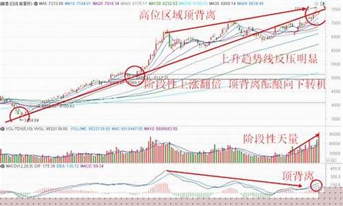 gta买什么股票最安全挣钱(gta买什么股票最安全挣钱最多)_https://www.023hushi.com_科创板_第1张