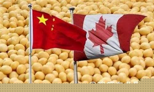 加拿大菜籽油期货实时行情走势(欧洲菜籽油期货实时行情)_https://www.023hushi.com_新股申购_第1张