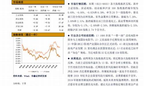 个股基本面分析报告范文(个股的基本面分析)_https://www.023hushi.com_注册制创业板_第1张