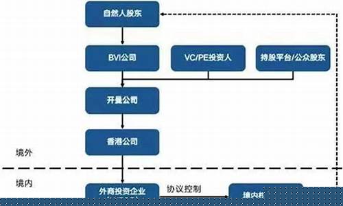 wfoe方式和vie架构(vie架构的优劣势)_https://www.023hushi.com_核准制科创板_第1张