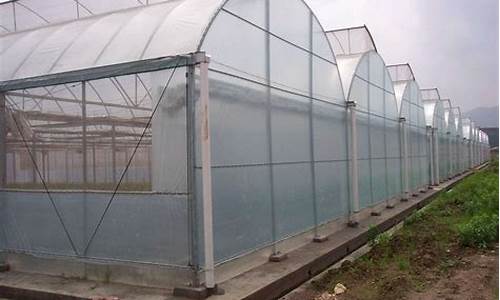 大棚薄膜市场批发价格(农用大棚薄膜批发价格)_https://www.023hushi.com_新股申购_第1张