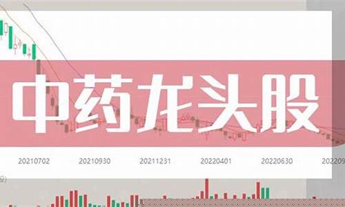 中药龙头股票前十强有哪些(中药龙头股票前十强有哪些公司)_https://www.023hushi.com_深证申报企业信息_第1张