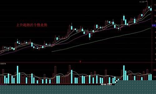 新手炒股怎么入门(新手炒股怎么入门知乎)_https://www.023hushi.com_创业板_第1张