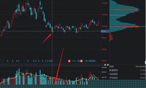 股票入门基础知识app(股票入门基础知识视频教程全集免费)_https://www.023hushi.com_深证A股_第1张