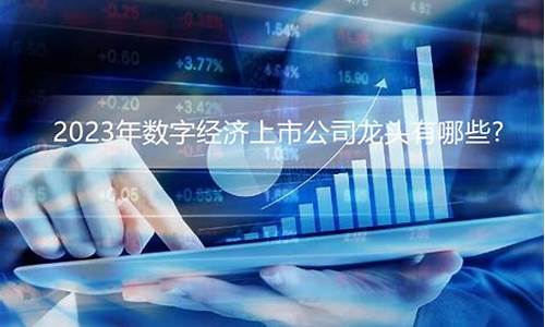 上市公司数字经济龙头股(数字经济龙头概念股)_https://www.023hushi.com_新股申购_第1张