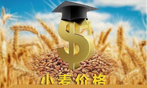 小麦价格走势如何(小麦价格走势如何今日)_https://www.023hushi.com_注册制科创板_第1张