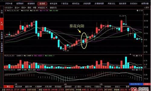 强势股的十种形态图解(强势股六大特征)_https://www.023hushi.com_新股申报信息_第1张