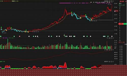 散户炒股入门(散户炒股入门教程)_https://www.023hushi.com_上证申报企业信息_第1张