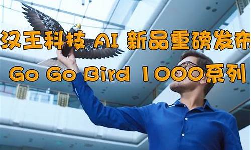 汉王科技2023目标价(汉王科技未来)_https://www.023hushi.com_核准制上证A股_第1张